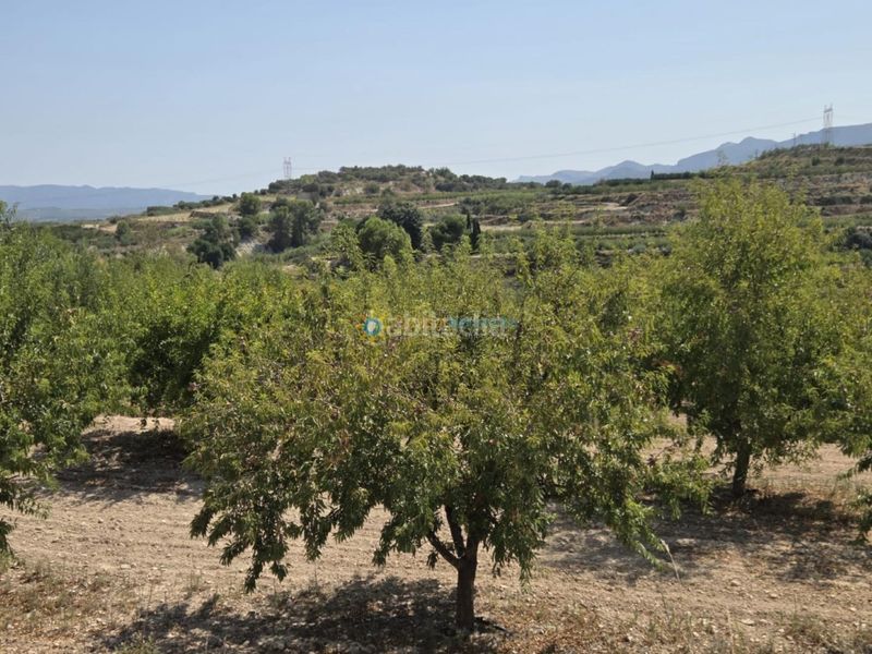Foto d5a93d02-e49c-4f7b-9ad5-693d7bedccde. Masia amb xemeneia a Bèlgida