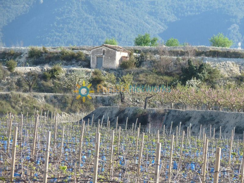 Foto 62d450e5-ba4e-4887-a739-c8c30623d1dd. Finca rústica a Bèlgida