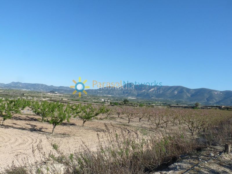 Foto 6f57631f-6c0e-43f6-9007-5c41544c057e. Finca rústica a Bèlgida