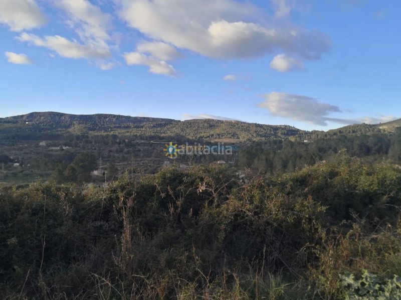 Foto 05f6e37c-2aac-4462-97e7-36570616679b. Finca rústica a Benigànim