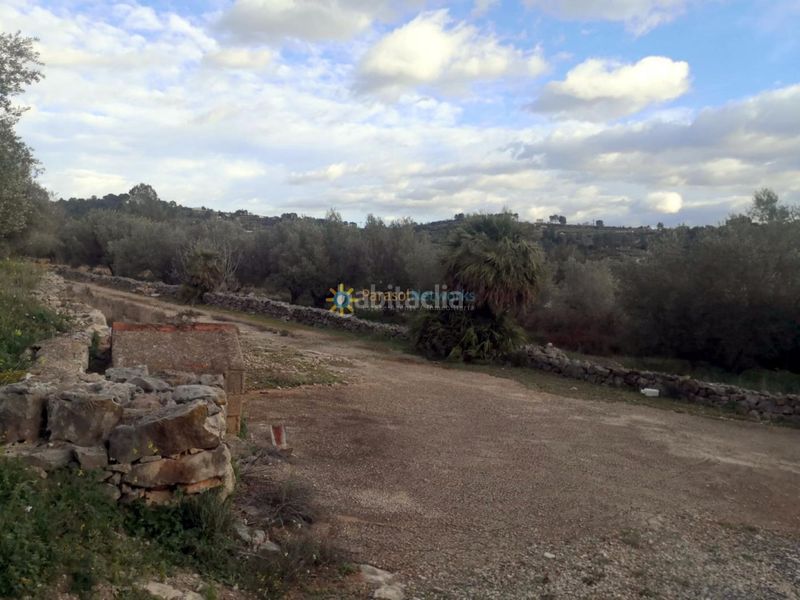 Foto 11579440-7c56-4548-98a1-699d84382431. Finca rústica a Benigànim