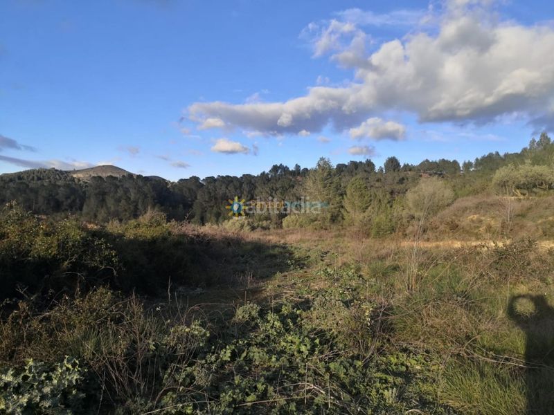 Foto b66eca39-940b-4959-b87a-2e2e89d9506d. Finca rústica a Benigànim