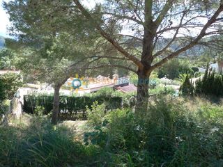 Terreny residencial a Oliva Pueblo