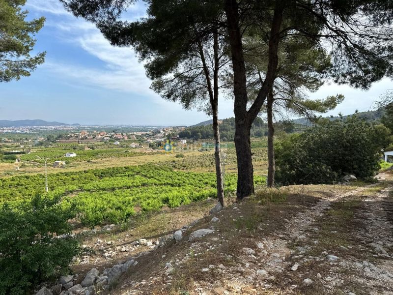 Foto 159d9f07-5f4e-4598-b81c-a47515295e66. Finca rústica a Font d´en Carròs (la)