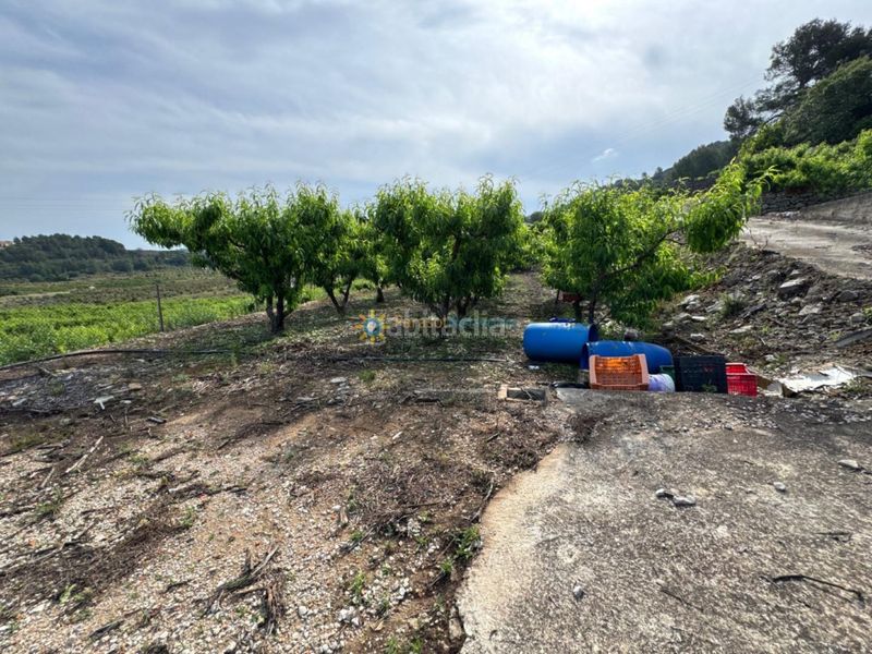 Foto 3f809b67-7f69-41da-b9d2-887cf8a08c34. Finca rústica a Font d´en Carròs (la)