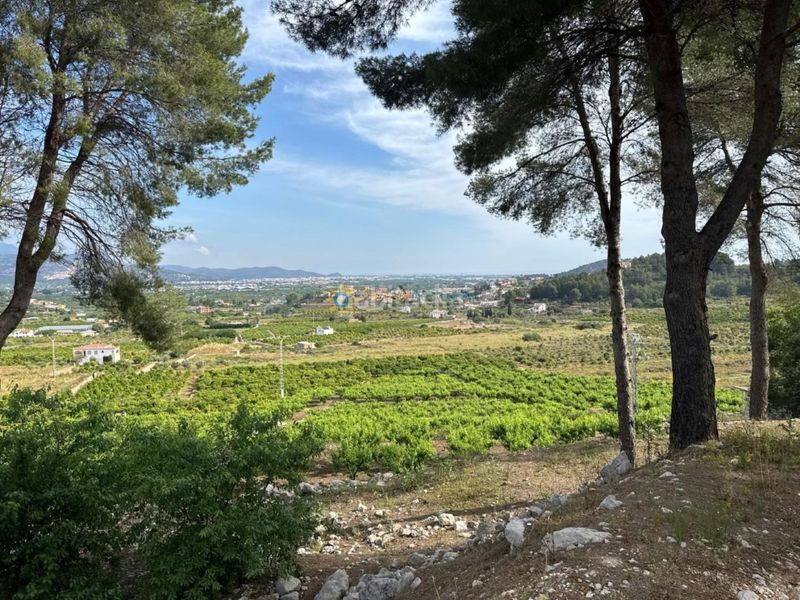 Foto 514a3b77-f502-49a7-83a3-6b4f5402916d. Finca rústica a Font d´en Carròs (la)