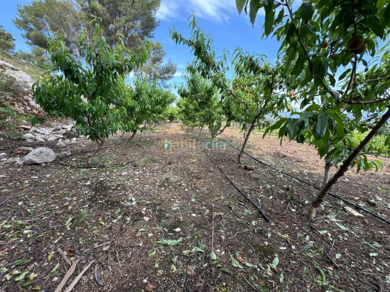 Foto bfc8e68f-2805-4aaa-b11b-5f584dbff7f1. Finca rústica a Font d´en Carròs (la)