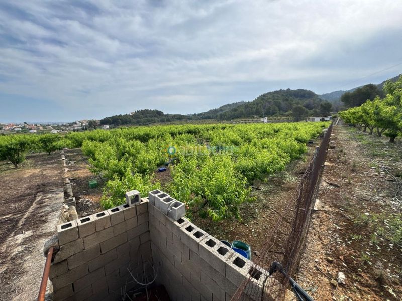 Foto ce51f172-ace1-4ad0-bcd0-38b95596e8f8. Finca rústica a Font d´en Carròs (la)