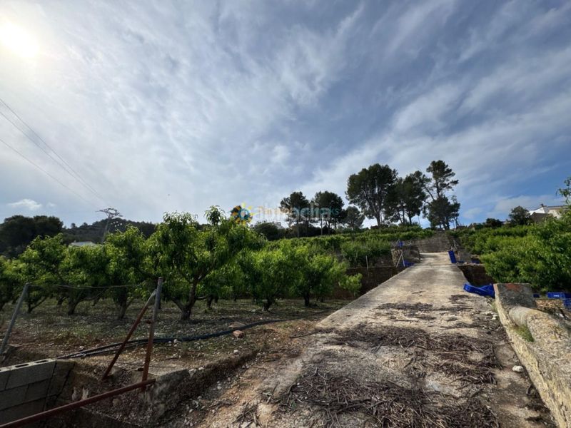 Foto ecb8da12-86e3-486d-be13-0801a4b03755. Finca rústica a Font d´en Carròs (la)