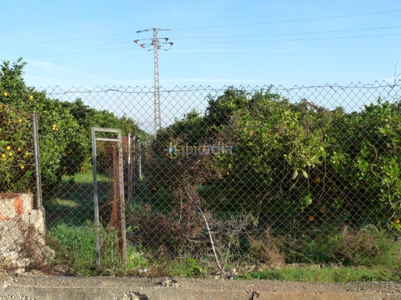 Foto 57b24d32-5a69-4011-8e50-ffc975fc97d4. Finca rústica a Oliva pueblo Oliva