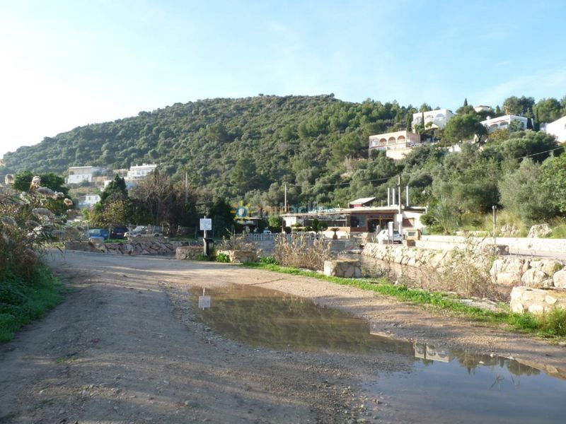 Foto c166076f-687a-42a0-8c47-62e9a14228f7. Finca rústica a Oliva pueblo Oliva