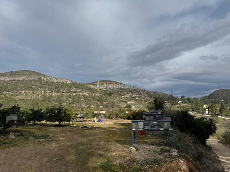 Foto 2e430f1f-6ecf-4622-8f4a-40d009550568. Finca rústica a Benigànim