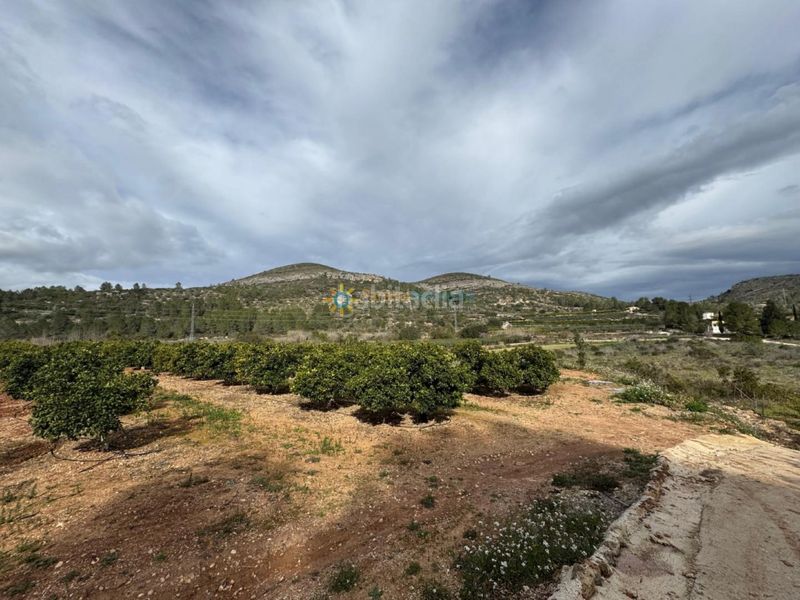 Foto 5678462c-a5b3-4709-ad33-35905093c35d. Finca rústica a Benigànim