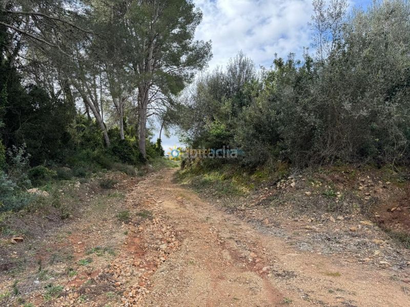 Foto 8c191f0f-67a3-4ccb-9456-b43228087443. Finca rústica a Benigànim