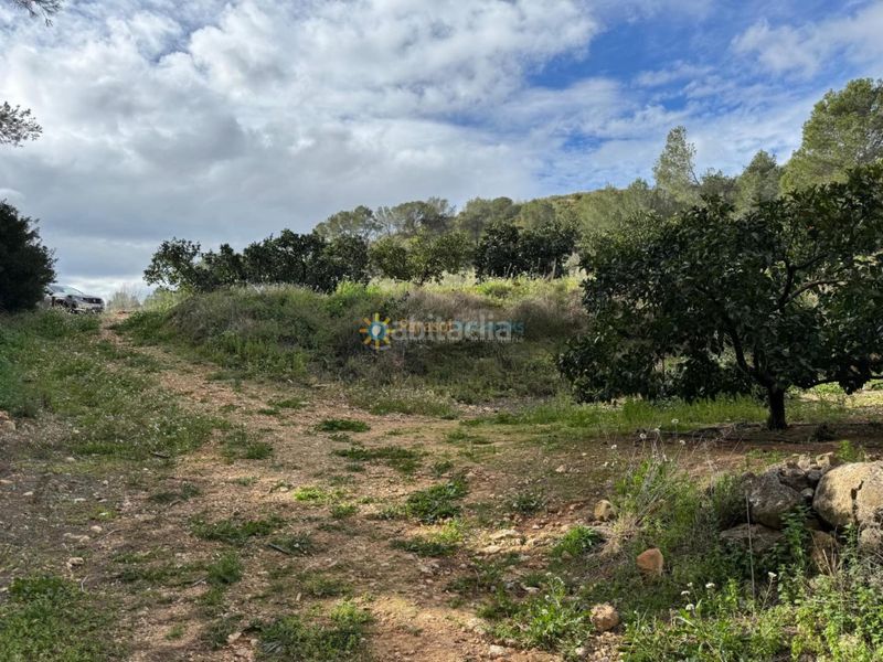 Foto 95c16f60-a061-4837-8957-7e05e122c44e. Finca rústica a Benigànim