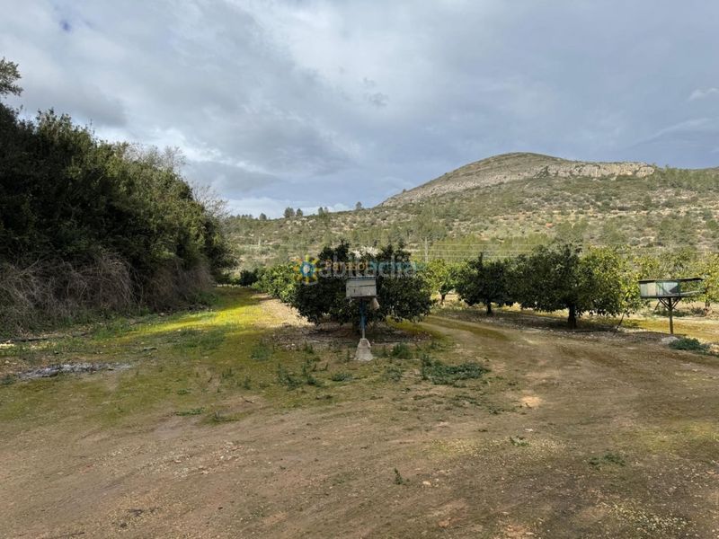 Foto ba15087d-ca44-46a6-b977-9d4ac761467c. Finca rústica a Benigànim