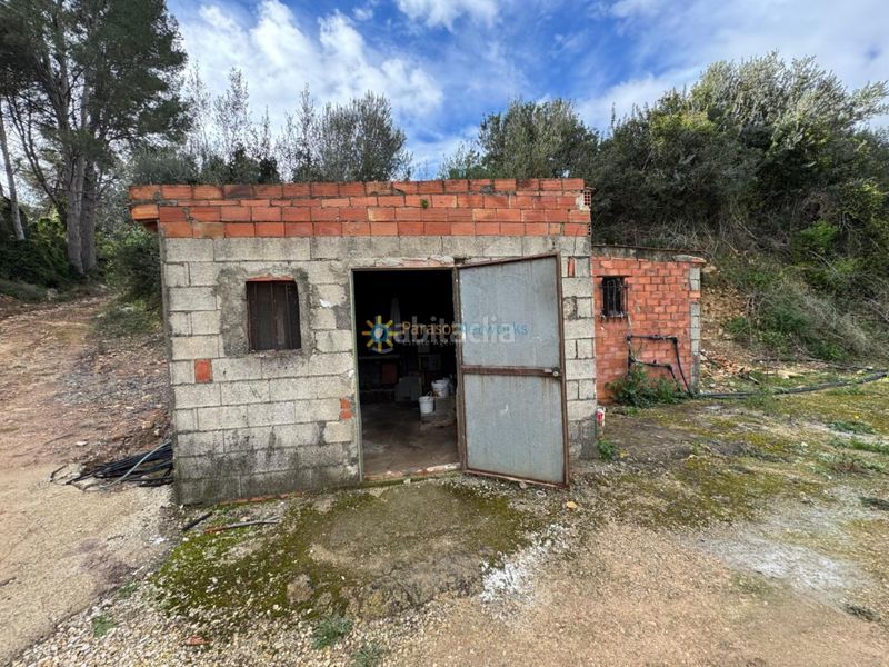 Foto fc17c897-eced-4739-8096-a1af6842b120. Finca rústica a Benigànim