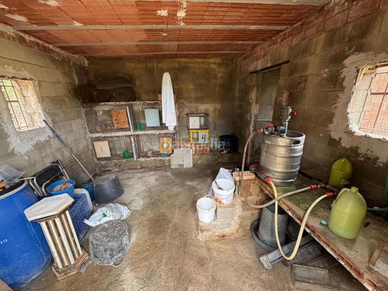 Foto fea335ca-f969-4ed6-b35a-17bb21823ff0. Finca rústica a Benigànim