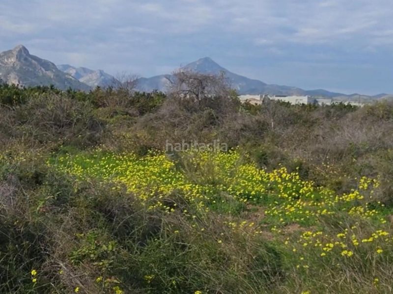 Foto 0e8784b6-5a21-4267-b676-4194aa98d80f. Finca rústica a Plaza Elíptica - República Argentina Gandia