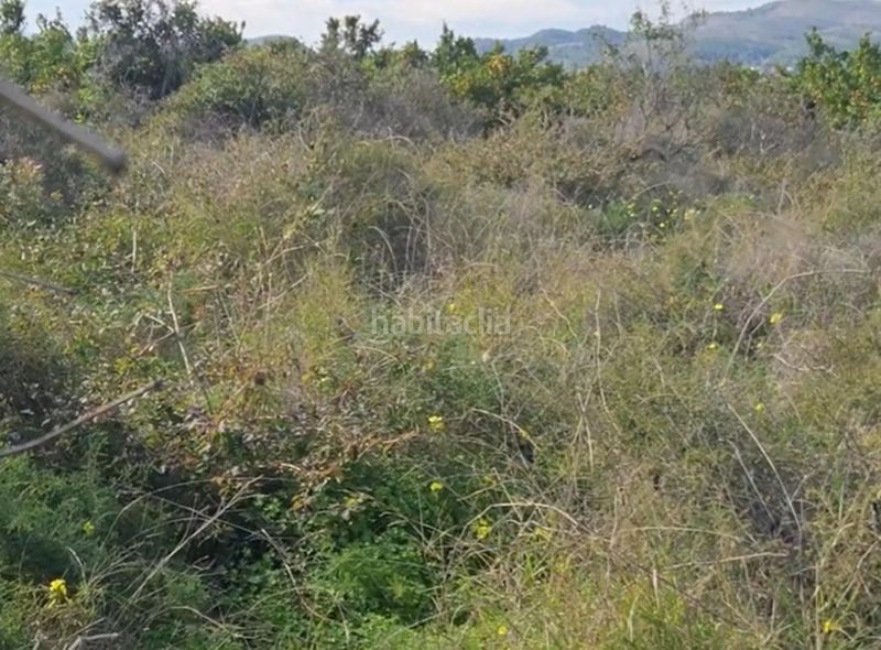 Foto f13526ae-ce8c-44df-b743-f431a509f567. Finca rústica a Plaza Elíptica - República Argentina Gandia