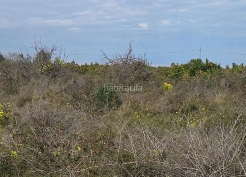 Foto f460923b-2bb9-4e51-abc5-c7e48d7bba9a. Finca rústica a Plaza Elíptica - República Argentina Gandia