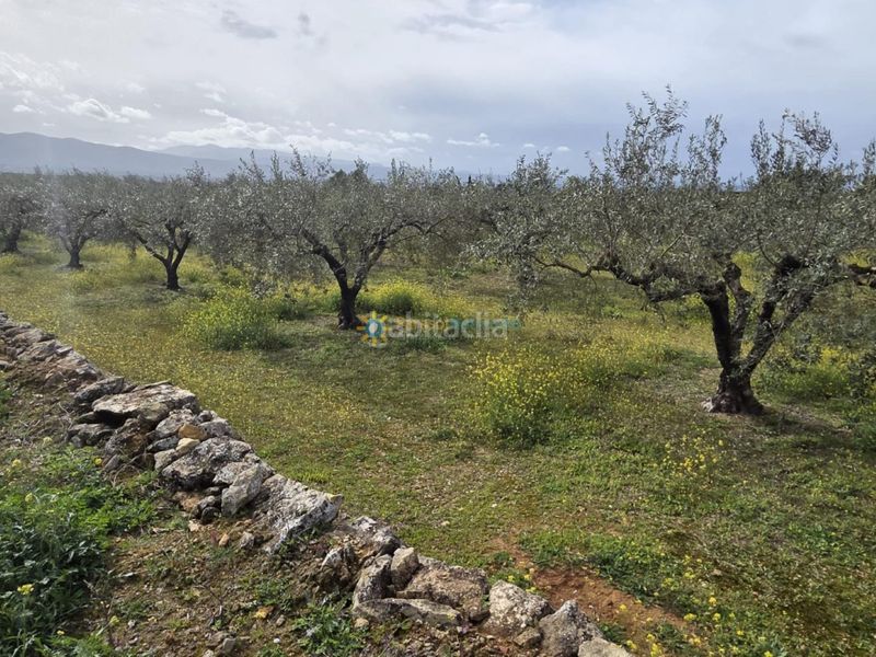 Foto bfac70d1-19a1-44c1-8955-d0006badd7bf. Finca rústica a Benigànim