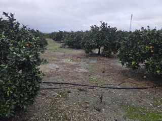 Landgut in Senyera. Terreno de venta en senyera