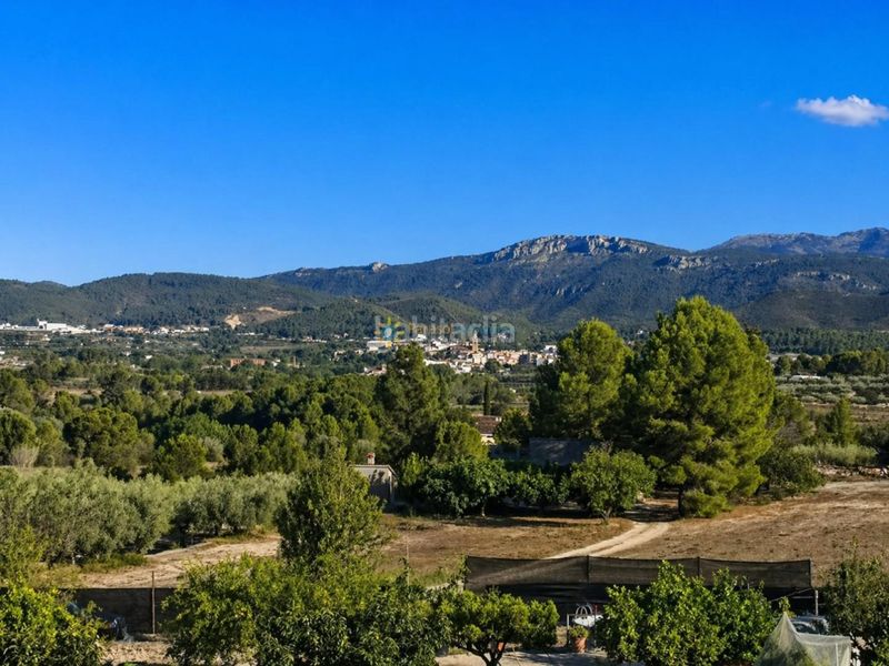Foto bf88b99f-7f34-4d00-92b6-0a6559e4a56b. Finca rústica a Albaida