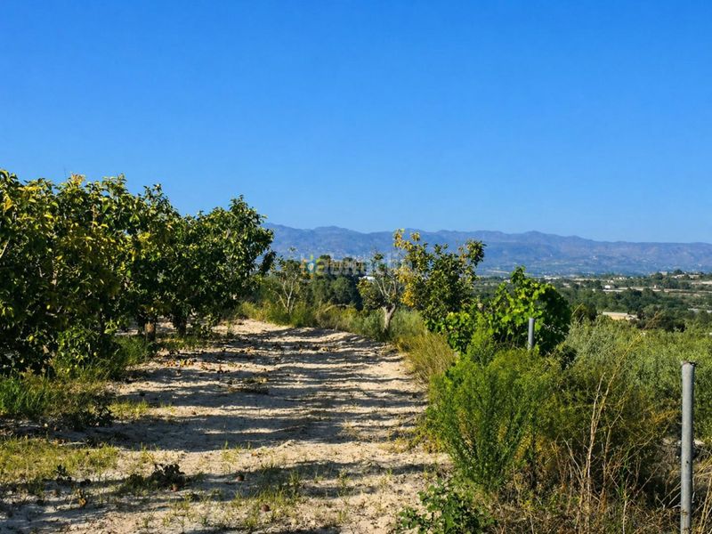Foto d1cae8c4-e304-422e-9397-173283f5fdd3. Finca rústica a Albaida