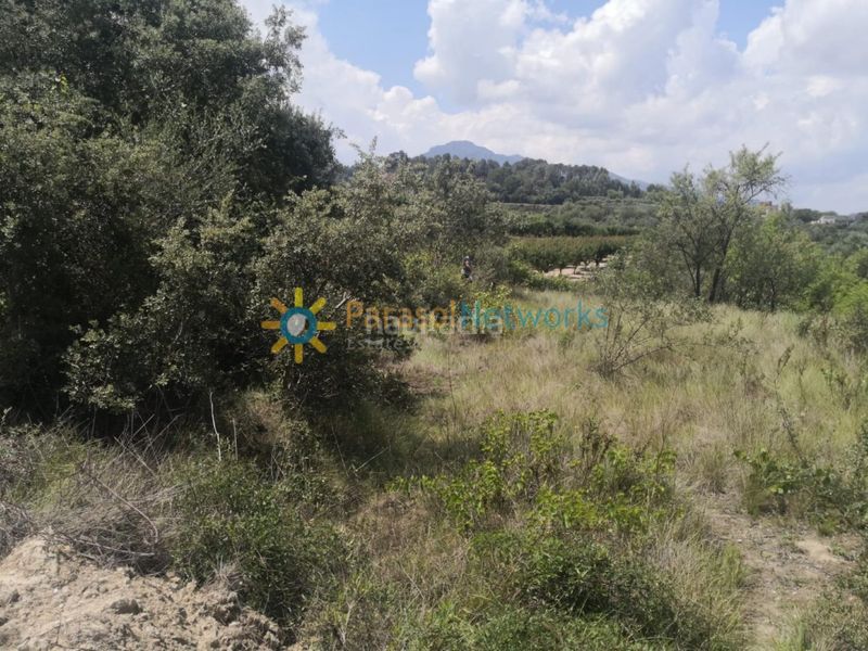 Foto 0ca25485-6bba-455a-bd7c-e3db7732cce1. Finca rústica a Castelló de Rugat