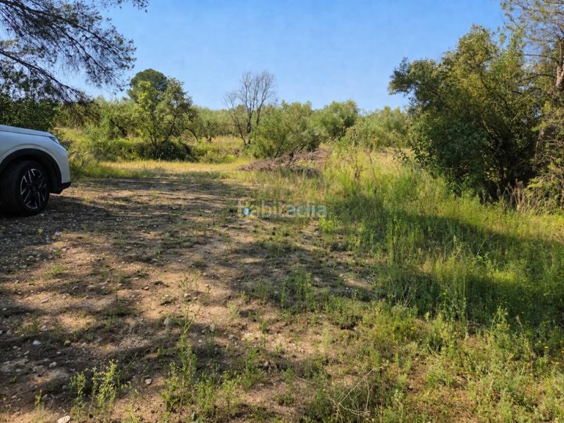Foto c7cabac3-ec17-42a8-a9db-051dd8fe33cf. Finca rústica terreno de venta en bellus en Bellús