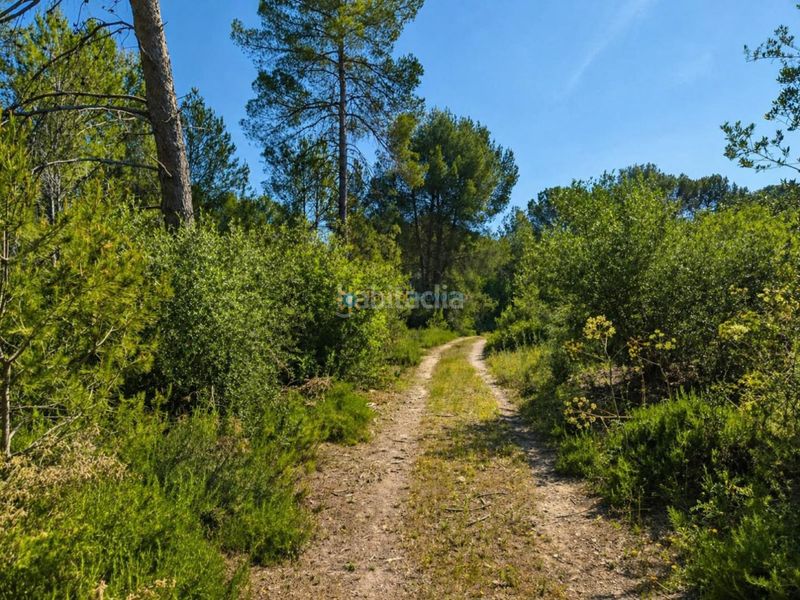 Foto dd62a47d-f04f-4e72-84a9-165a74fce80a. Finca rústica terreno de venta en bellus en Bellús