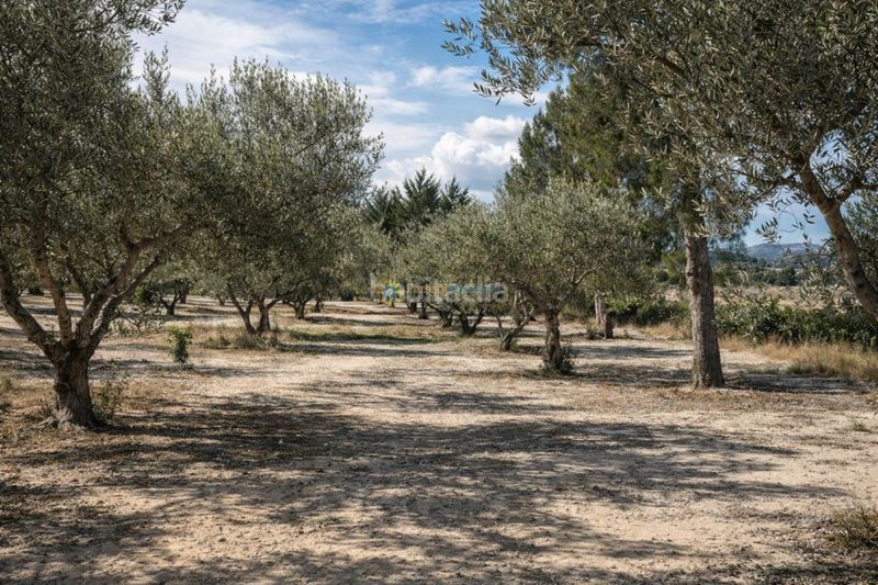 Foto fd1c407e-bba0-4a6a-a1ab-bd2256387c7d. Masia amb xemeneia aparcament piscina a Bufali