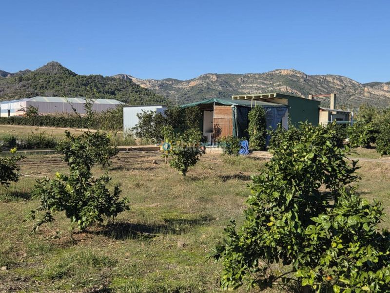 Foto 13b5b60d-d2eb-4455-8eec-d14c4ee7c058. Masia amb aparcament a Xeraco