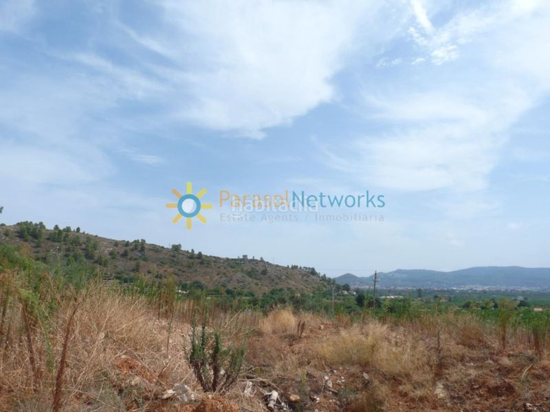 Foto 240d0f0b-917c-4a09-a2e1-93ab30f395d3. Finca rústica a El Real de Gandia