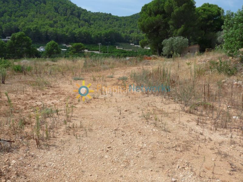 Foto b289e536-1306-40fa-b863-18351ffceead. Finca rústica a El Real de Gandia