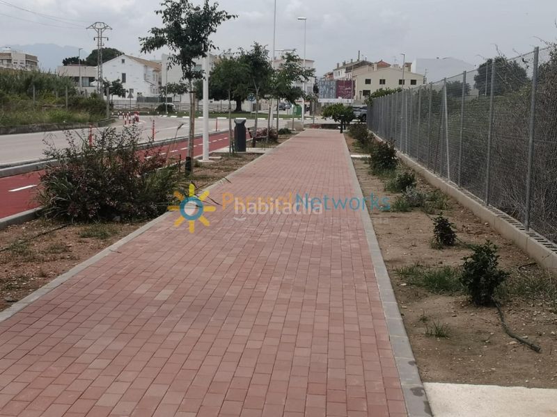 Foto 4acffece-293c-4fcf-8594-6bfa20bde89f. Finca rústica a Guardamar