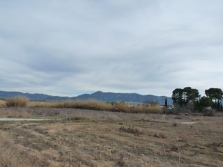 Finca rústica en Benissuera. Terreno de venta en alfarrasi