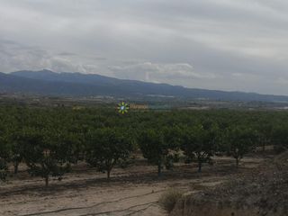 Rural plot in Benigànim. Terreno con casita a la venta en beniganim