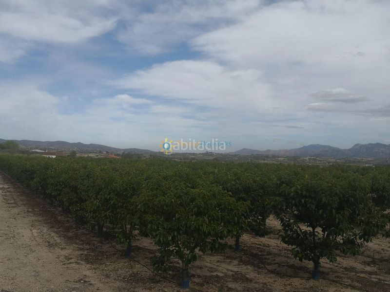 Foto 5be98360-0f5a-4d7c-8417-1d58682e1970. Finca rústica a Benigànim