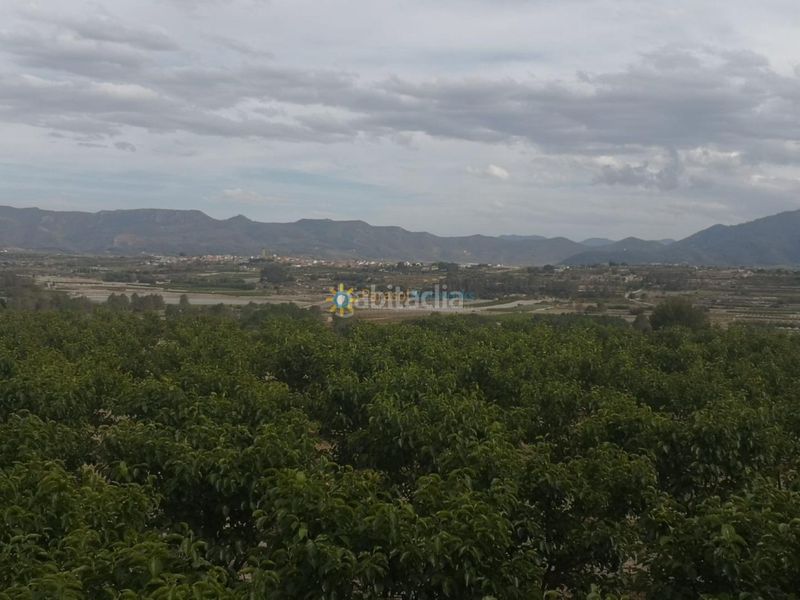 Foto dbaefab3-6b57-4bdb-9319-644d0b7b6217. Finca rústica a Benigànim