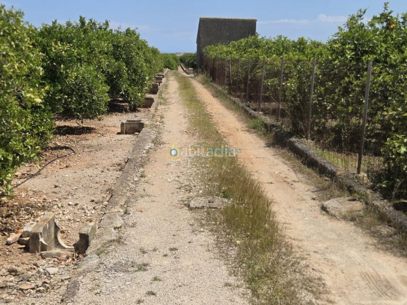 Foto 5c80be4d-cb43-435a-9d03-b98aa5640569. Finca rústica a Oliva pueblo Oliva