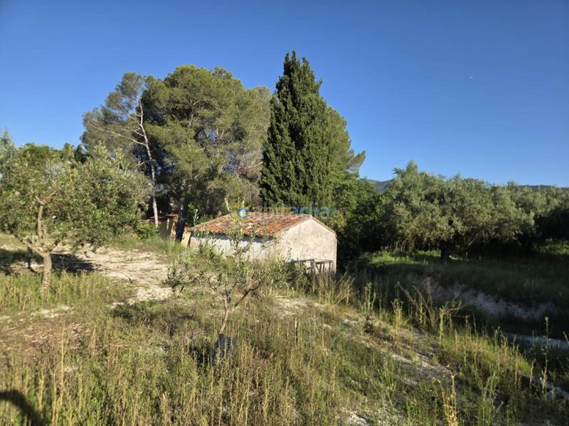 Foto 4ff3f0f4-cce3-4c19-b3e7-c18a9ef82e08. Finca rústica a Bèlgida