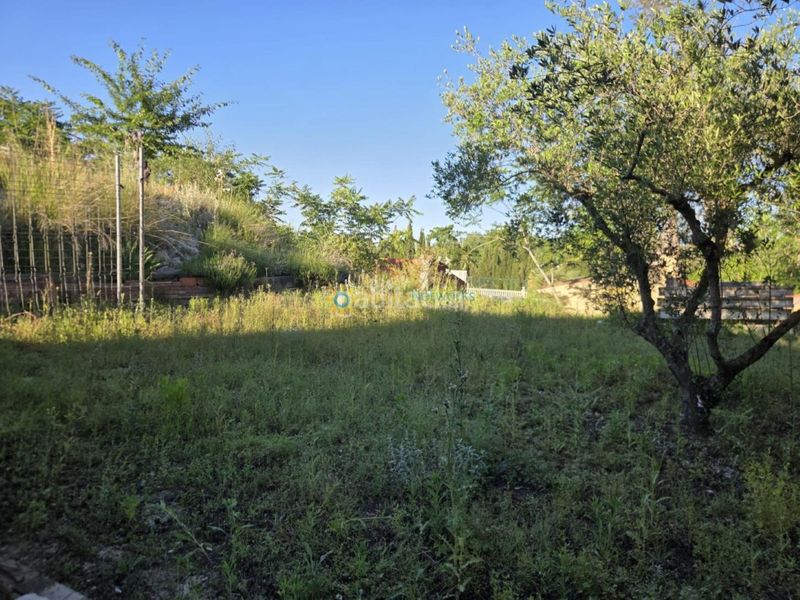 Foto 609e9db1-06e3-4599-b066-747f858ab01d. Finca rústica a Bèlgida