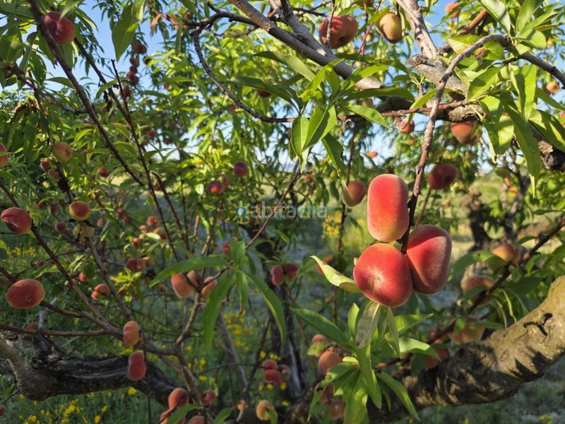 Foto a36b3337-53fa-4391-9305-93f490c58d93. Finca rústica a Bèlgida