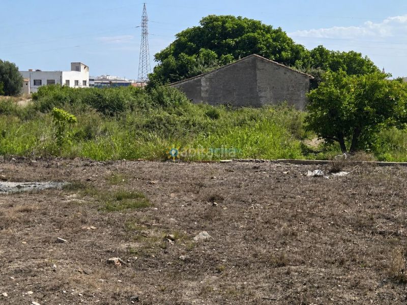 Foto 7df5c66e-8573-4bd0-b6be-572a15a6d7ff. Finca rústica a Piles
