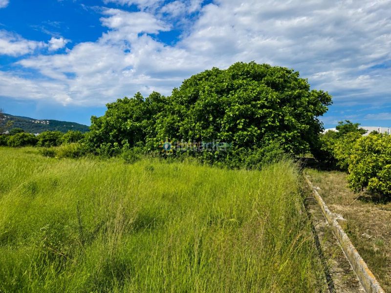 Foto f586d4df-3a1b-43be-9c31-d244934482ef. Finca rústica a Piles