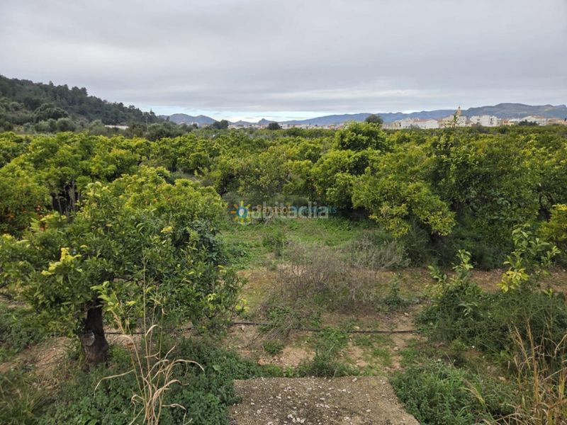 Foto 58d8cf8b-6238-405a-a703-d726fc1da8c2. Finca rústica a Rafelcofer