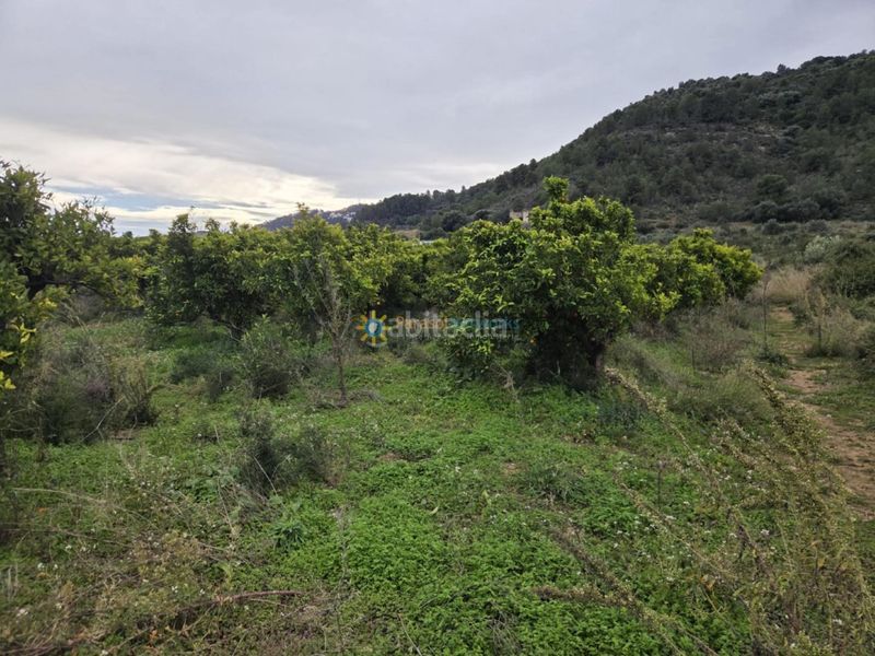 Foto 9605d224-0b36-4bf3-8d02-540d629cc9b5. Finca rústica a Rafelcofer