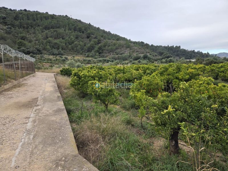 Foto c13e5bd8-5db9-4abc-aa24-36c1d0e06a62. Finca rústica a Rafelcofer